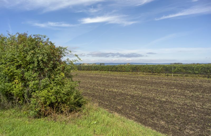 Acreage Clearing in Utah County, UT