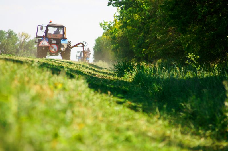 Farm Clearing in Katy, TX