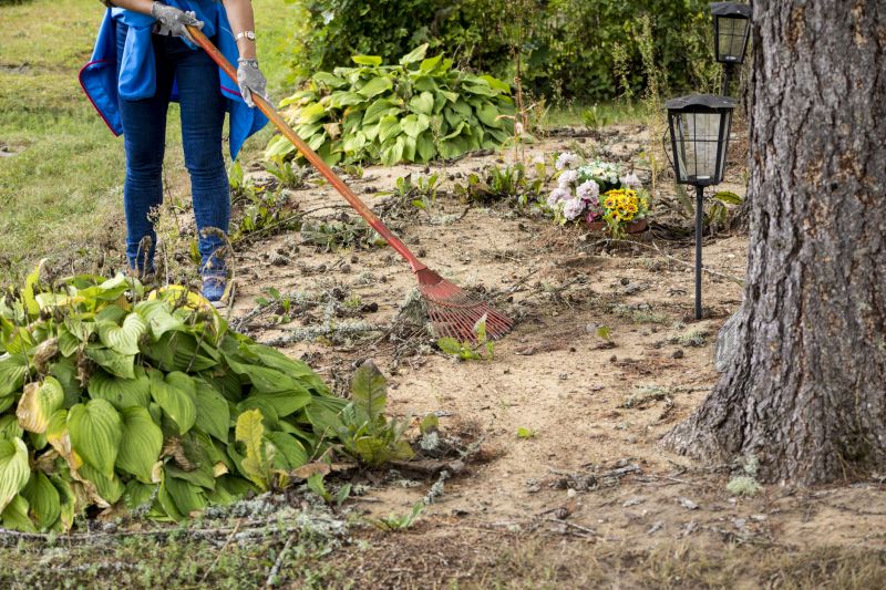 Contact About Trees Clearing