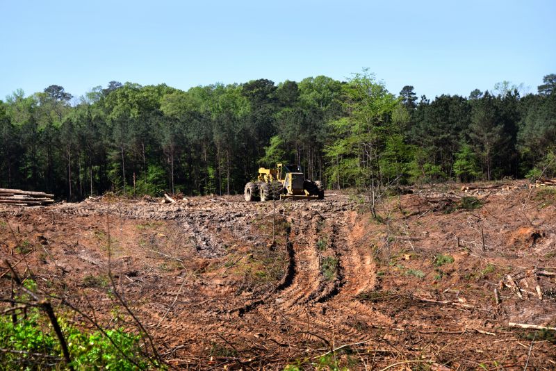 Improved land accessibility