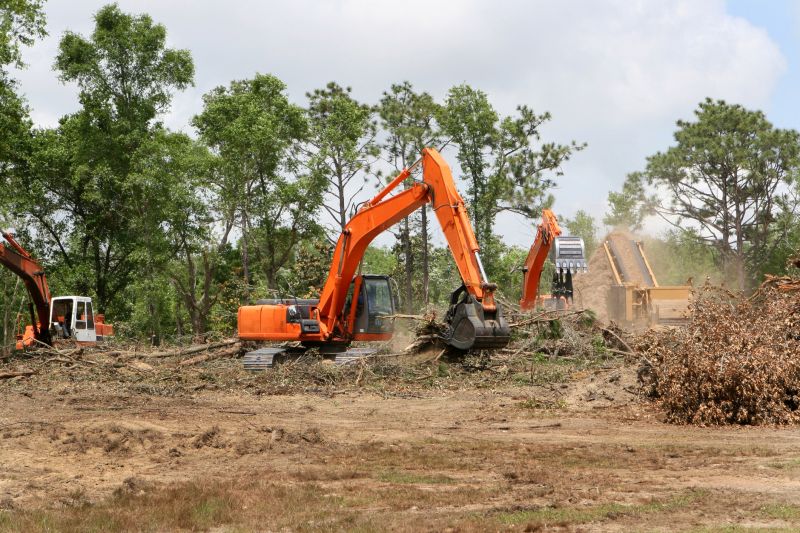 Trees Clearing - Trees Clearing Superior, Wisconsin