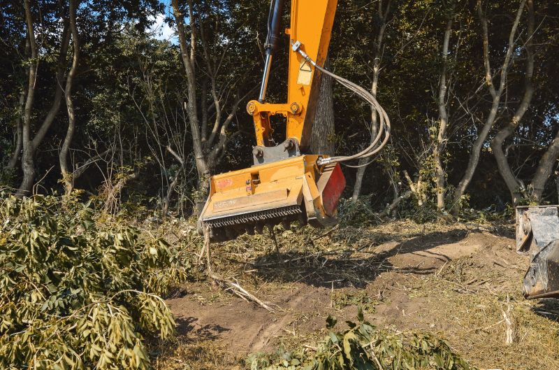 Brush Clearing Service in Marietta, GA