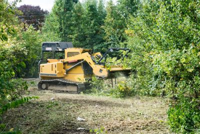 Farm Clearing in Gwinnett County, GA