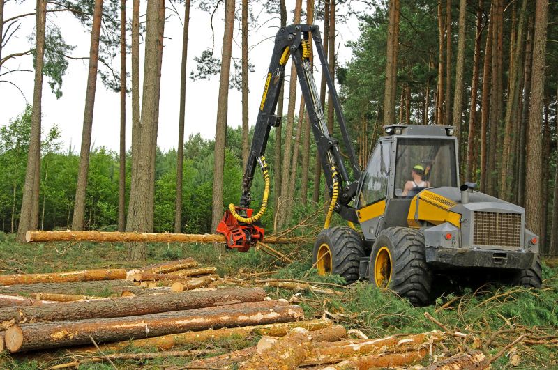 Forestry Clearing in Cumming, GA