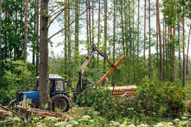 Pine Tree Clearing in Cumming, GA