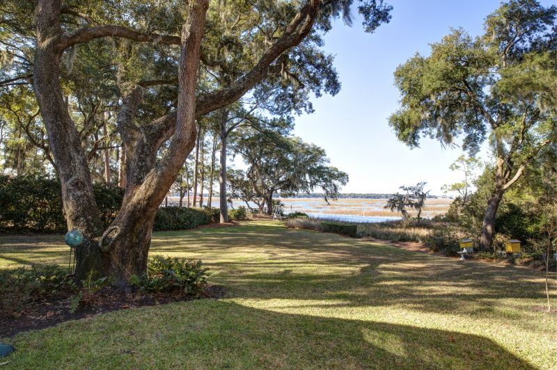 Products For Trees Clearings in use