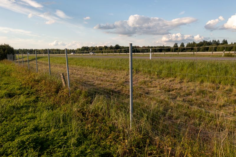 Property Line Clearing in Utah County, UT