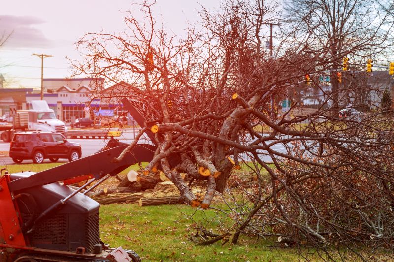 Site Clearing Service in Utah County, UT