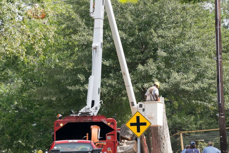 Tree Clearing Service Vehicle