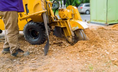 Stump Grinding Equipment