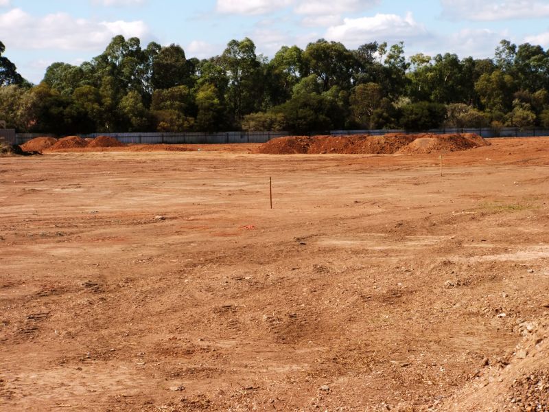 Land Clearing Contractors